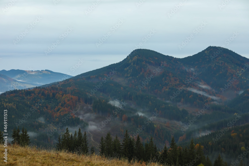 Picturesque view of beautiful mountain landscape with forest and fog patches on autumn day