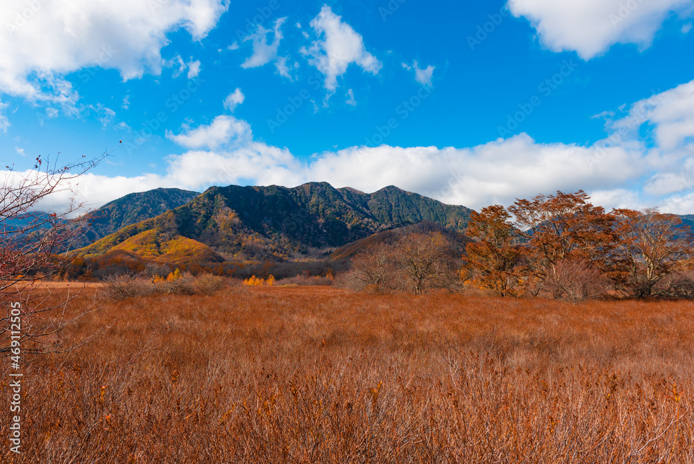 日光国立公園　紅葉した戦場ヶ原	