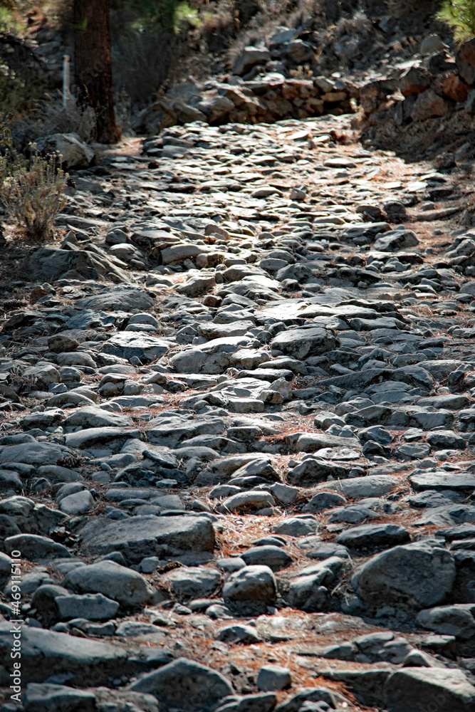 Steiniger Weg