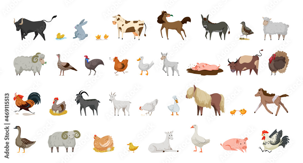Obraz premium Collection of farm animals and birds. Illustrations in flat style.