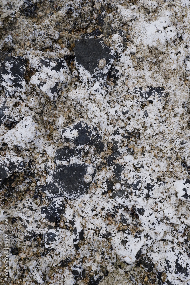 Obraz premium texture of stone