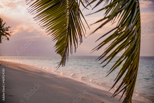 Fototapeta Naklejka Na Ścianę i Meble -  Palm leaves against the backdrop of the beautiful exotic sea in the Maldives