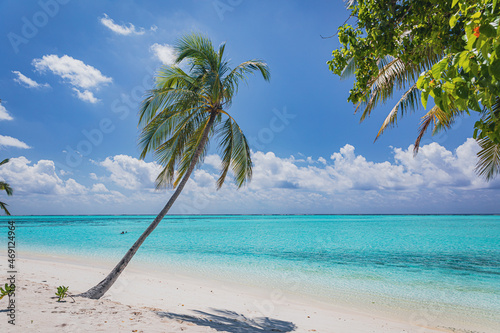 Fototapeta Naklejka Na Ścianę i Meble -  A paradise beach on an island with turquoise water and beautiful exotic palm - Maldives