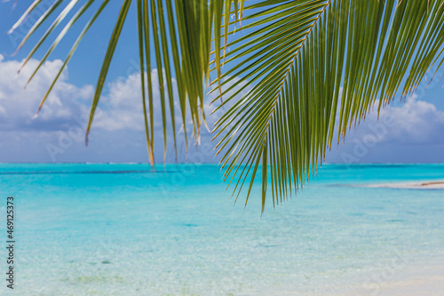 Fototapeta Naklejka Na Ścianę i Meble -  Paradise exotic beach on island template - view through palm leaves on azure water