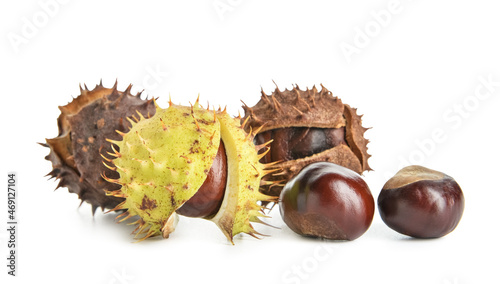 Fresh horse chestnuts with ...