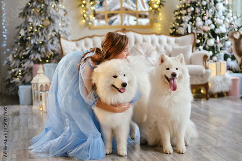 girl in a light blue dress with two white Samoyed dogs in the studio