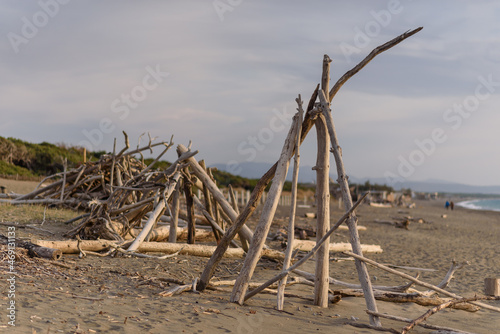 Strand bei Bibbona, Toskana mit Schwemmholz als Skulptur mit Meer , Wolken und Horizont