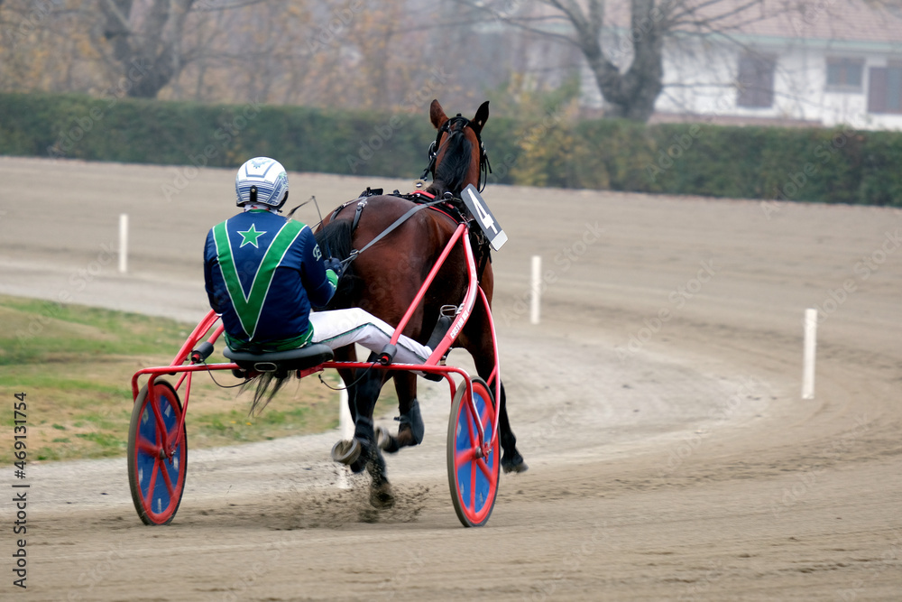 trotting horse race with sulky in the hippodrome trotting horse race with sulky in the hippodrome