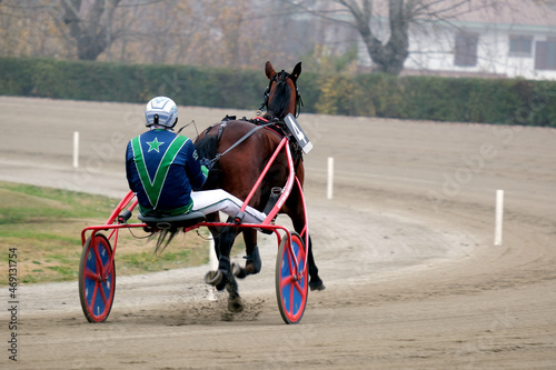 Foto trotting horse race with sulky in the hippodrome