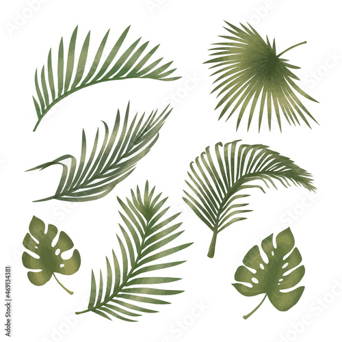 Collection of green palm leaves. Tropical plants. Isolated on white background.