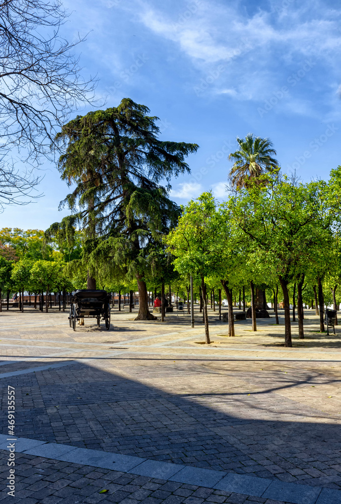 Parque Alameda Vieja en Jerez de la Frontera en la provincia de Cádiz, Bellleza y Detalles / Alameda Vieja Park en Jerez de la Frontera, Cádiz