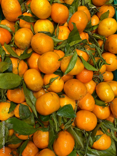 Organic mandarin oranges or tangerines with leaves. Healthy ripe juicy mandarin oranges in the grocery store. Fruit with Vitamin C