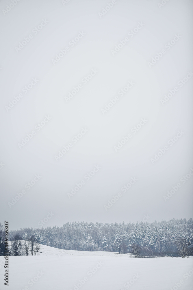 Naklejka premium winter landscape with snow