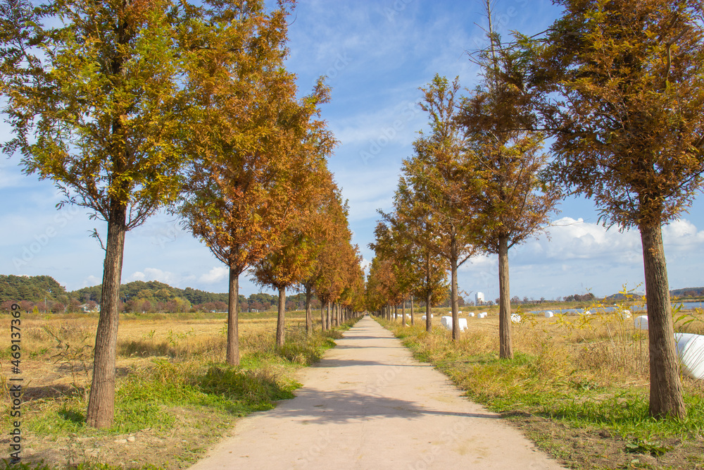 Naklejka premium road