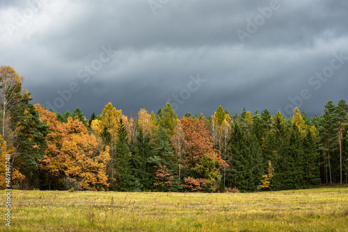 autumn in the mountains