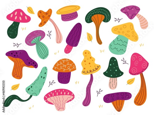 Forest mushrooms. Cute autumn mushroom with natural ornaments, bright colorful funny funguses, fantastic vegetable objects, edible and poisonous harvest, vector cartoon flat isolated set