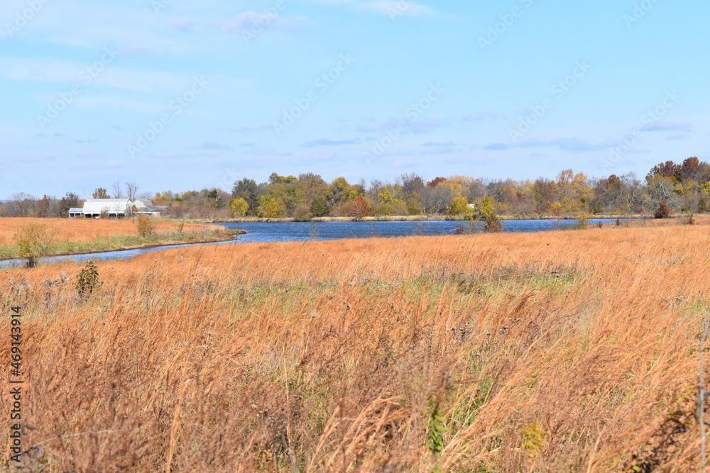 Lake in a Farm Field with Dry Grass