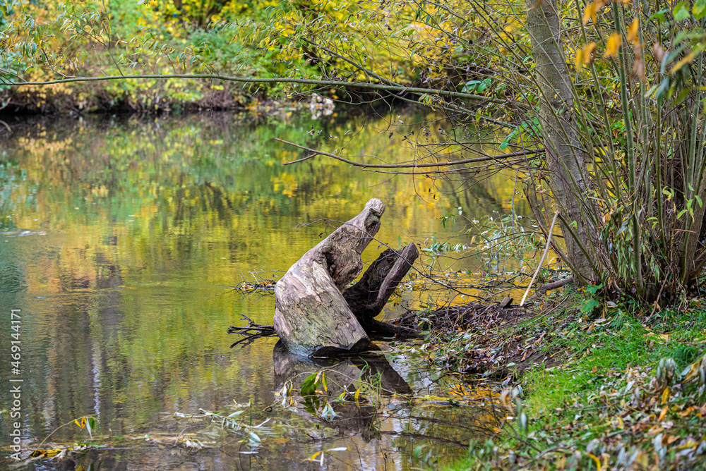 Fototapeta premium Weimar in autumn, the German cultural city, synonym of republic
