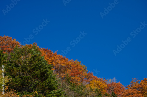 秋の乗鞍高原 紅葉した山と青空
