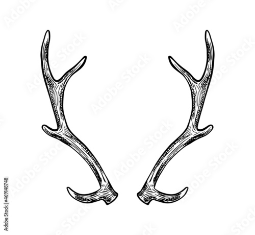 Vector hand drawn icon. Horns. Isolated on white background.