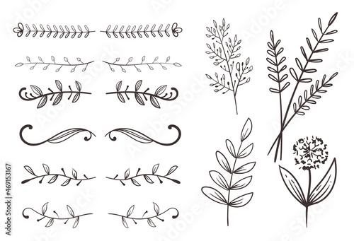 Floral nature plant leafes sketch design element vector collection
