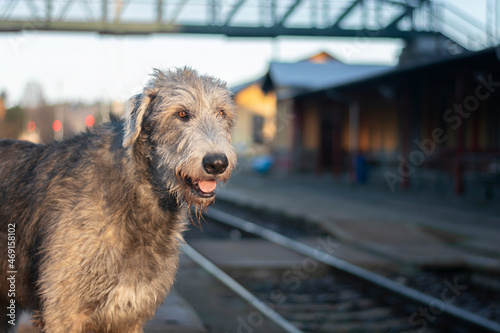 Waiting for a train.