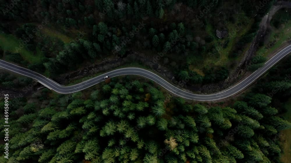 Highway passes through a mature spruce forest in the Ukrainian Carpathian Mountains. aerial Highway passes through a mature spruce forest in the Ukrainian Carpathian Mountains. aerial