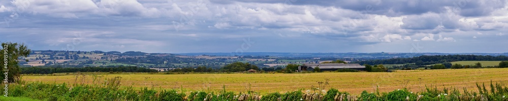 Obraz premium Sheep Grazing in England lush pastures and farmlands in the United Kingdom. Beautiful English countryside with emerald green fields and meadows. UK. 