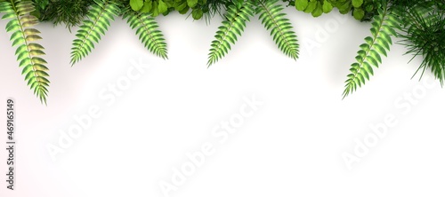 Minimal tropical green palm leaf on white paper background. Flat lay Top view with copy space for your text. 3d rendering. 