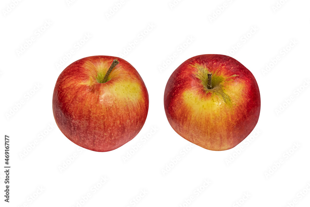 two juicy sweet organic red apples grown in a personal garden isolated on white close up