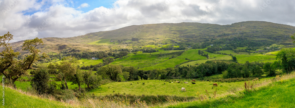 landscape with grass and blue sky - Kerry, Ireland landscape with grass and blue sky - Kerry, Ireland
