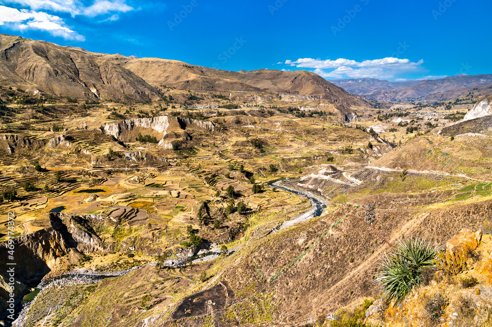 The Colca river at the Colca Canyon in Peru, one of the deepest canyons in the world