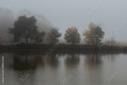 A misty pond landscape with trees in autumn colors