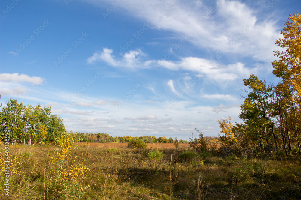 Manitoba Landscape