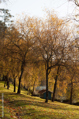 Autumn landscape  Parque Urbano do Rio Ul  S  o Jo  o da Madeira