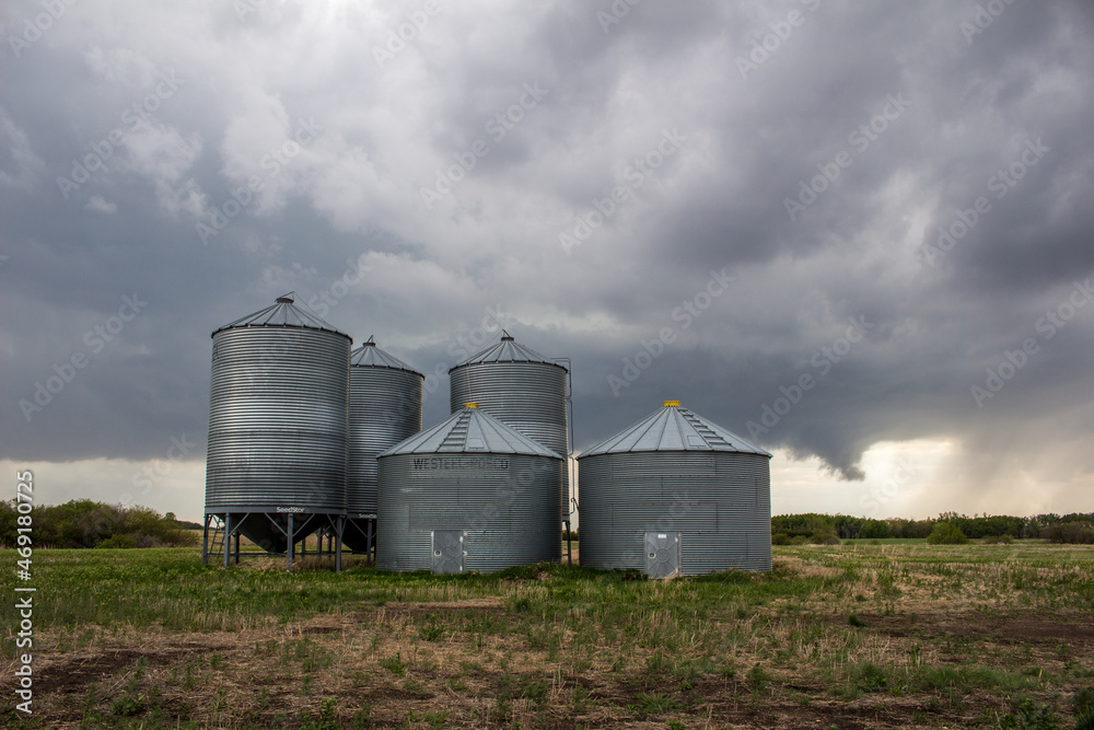 Prairie Landscape