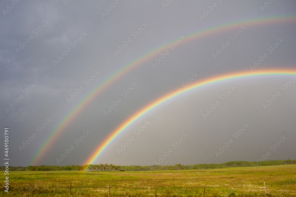Naklejka premium Rainbow