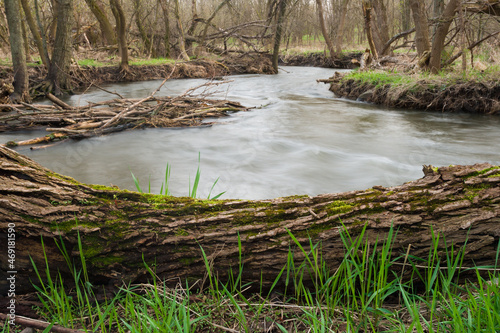 Springbrook Creek winds its way through a wooded area near 83rd Street. Naperville, IL..IL-070413-0013 photo