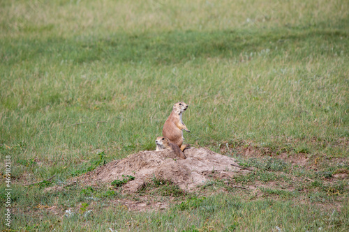 Saskatchewan Grasslands National Park