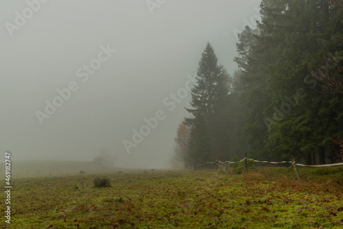 Pasture land near Kytlice village in Luzicke mountains with fog photo