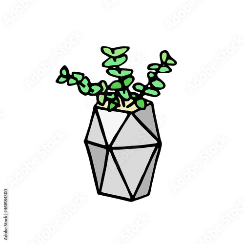 Succulent plant in grey pot. Hand drawn doodle crassula icon, logo. Isolated houseplants in concrete flowerpot. Vector illustration for poster, banner.