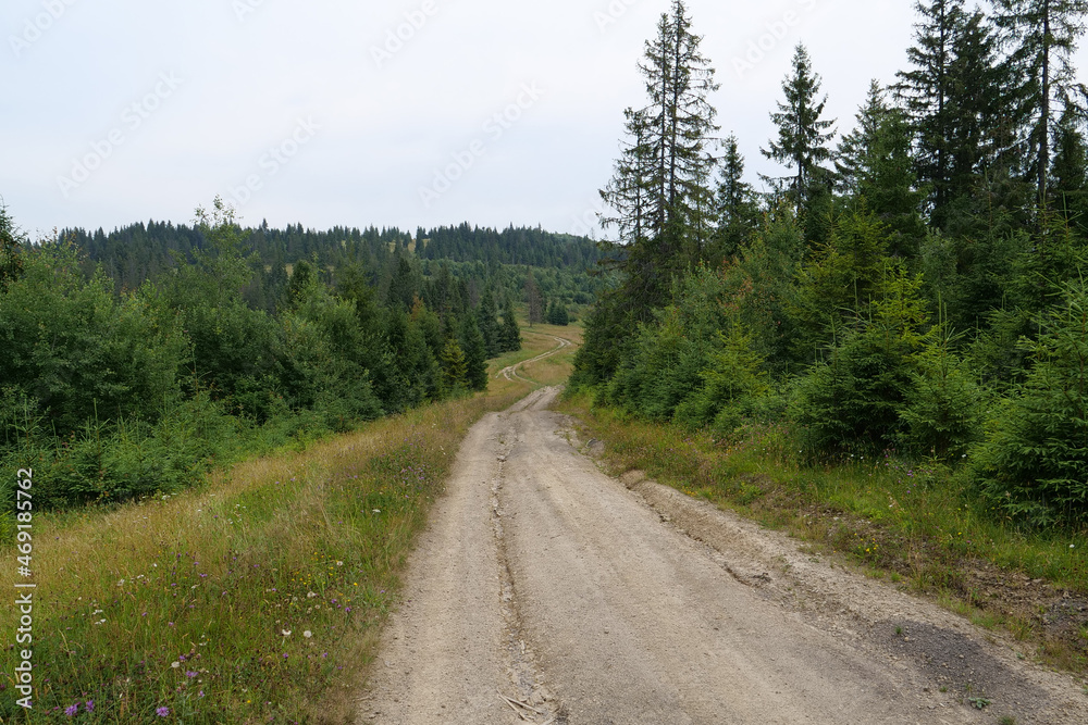 Fototapeta premium Dirt road in Carpathian Mountains, Ukraine