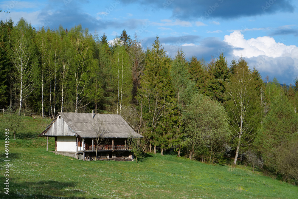 Little house in forest, life in solitude Little house in forest, life in solitude
