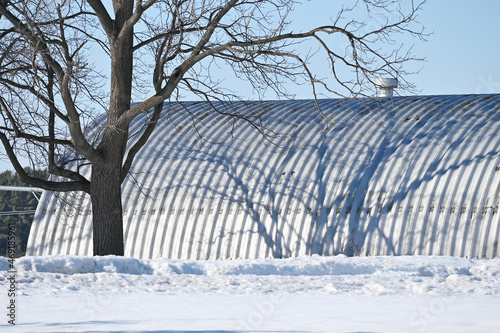 Tree Shadow on Quonset photo