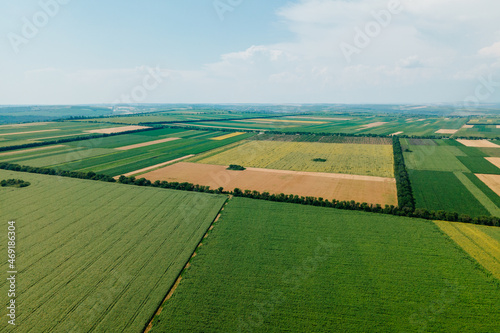 Fotografie Top view aerial view of agricultural fields