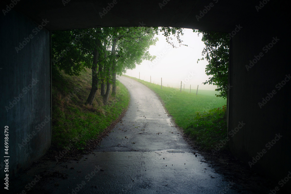 Country side, Tunnel, Mist, trees alley copy