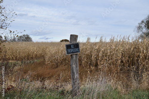 No Trespassing Sign on a Post by a Corn Field