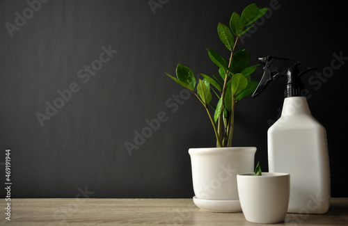 Preparing to water the plants. Black background, plants, minimal composition