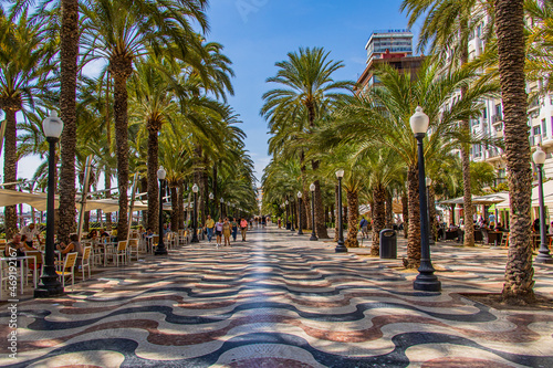 summer landscape with paseo de la explanada alicante in spain