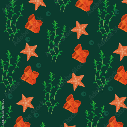 starfish and seaweed